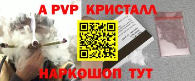 гидра Славгород