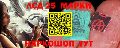 гидра Славгород