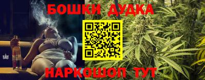 гидра Славгород