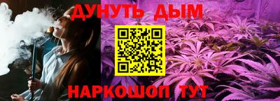 гидра Славгород