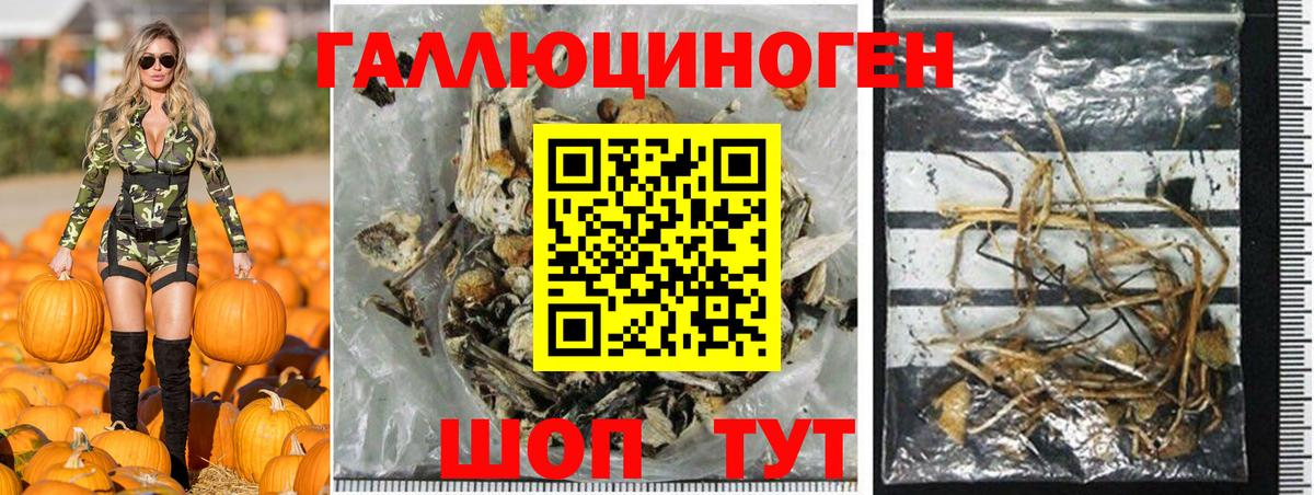 Галлюциногенные грибы ЛСД Канск