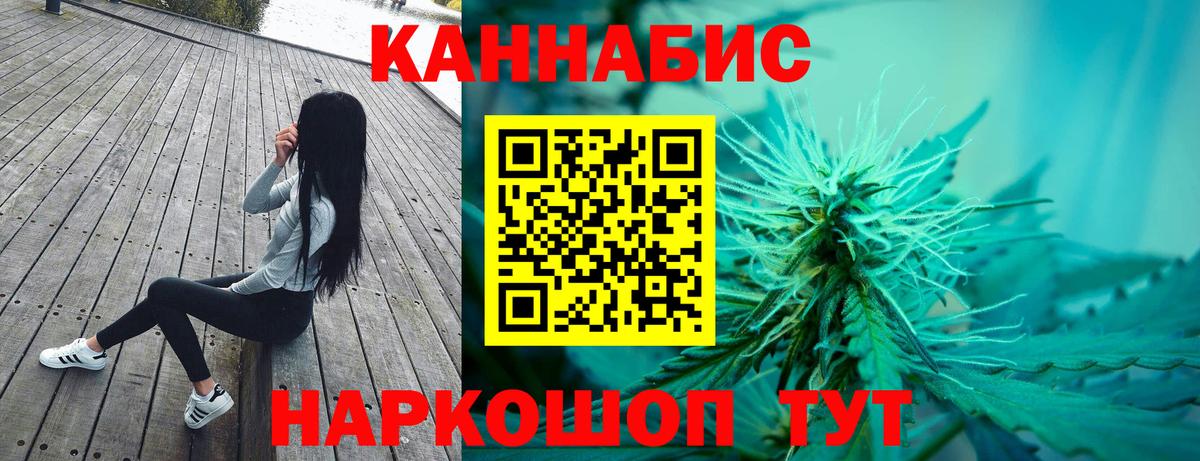 Шишки марихуана план  Вход с VPN  Канск  Бошки Шишки VHQ  Бошки марихуана тримм 